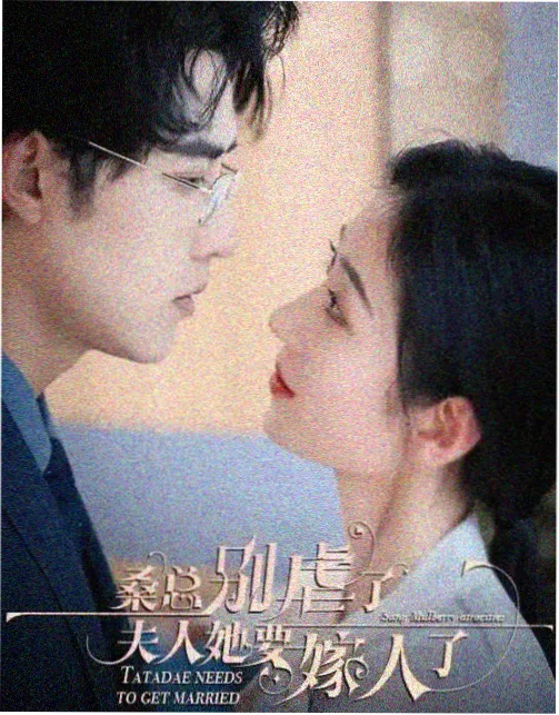 雪落无声新剧海报