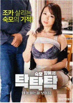 南风慢递推荐封面